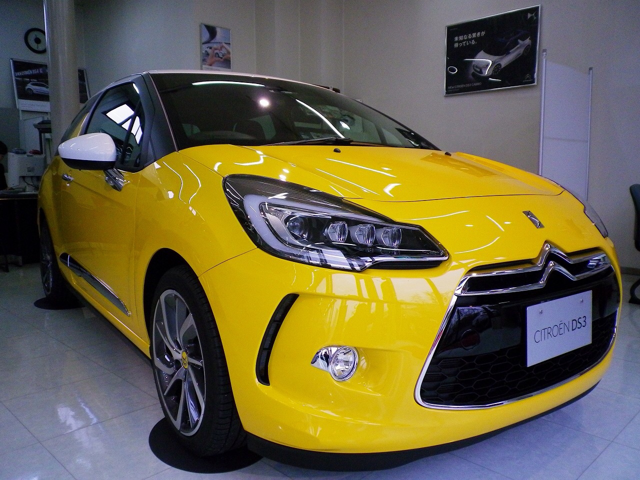 新しいDS3Chicです。