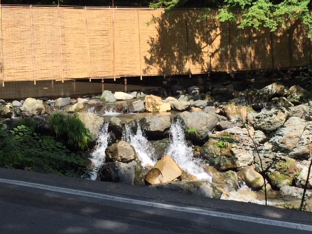 涼しいはずなんですが