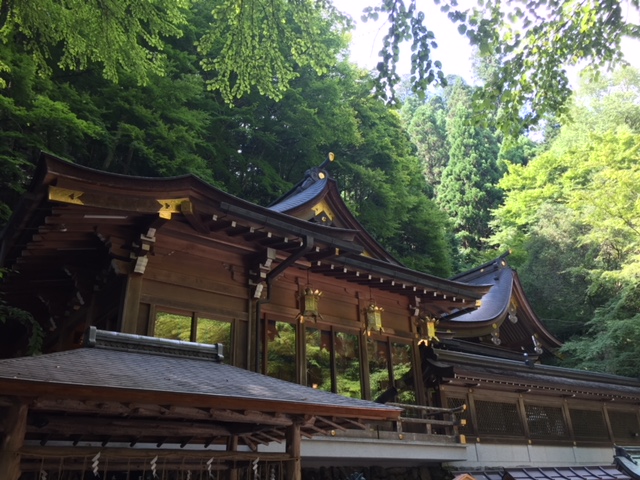 涼しいはずなんですが