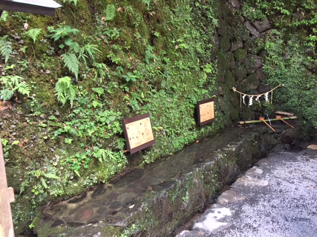 涼しいはずなんですが