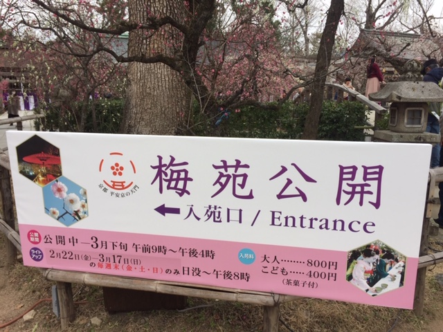 3月是非行ってください