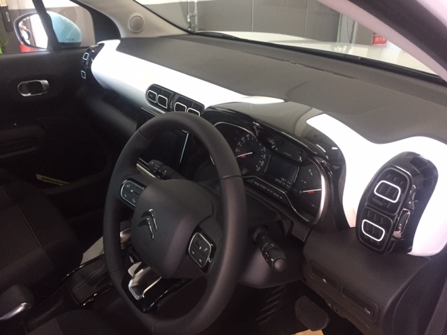 ボッチャン参上！！