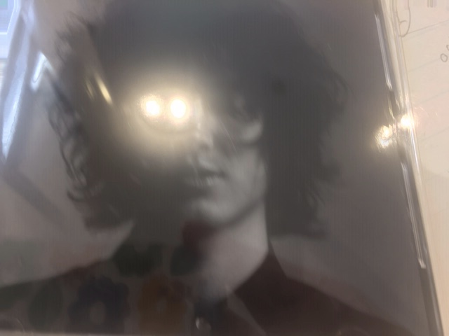 買っちゃいました笑笑