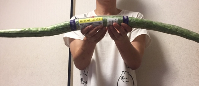 何じゃこれ！！