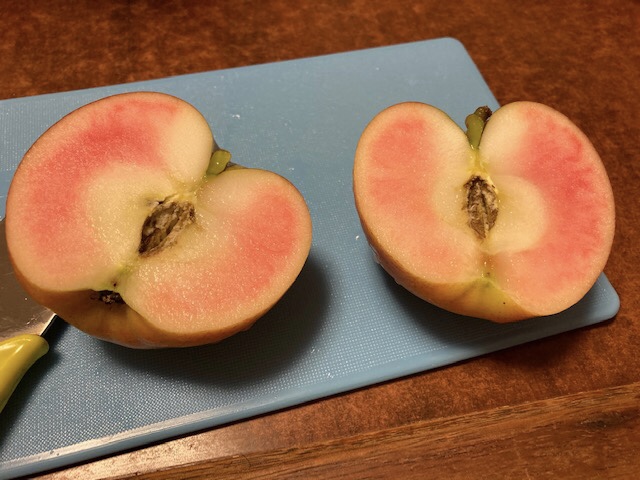 開けてびっくり