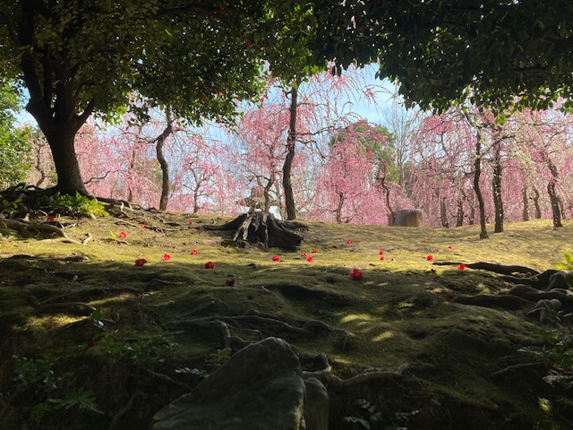 今月恒例の
