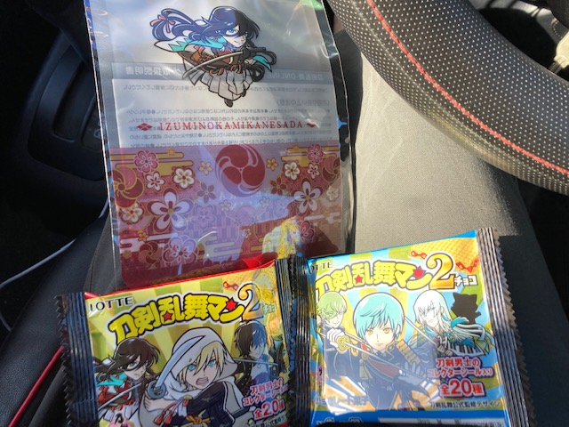 ゲットしたものの