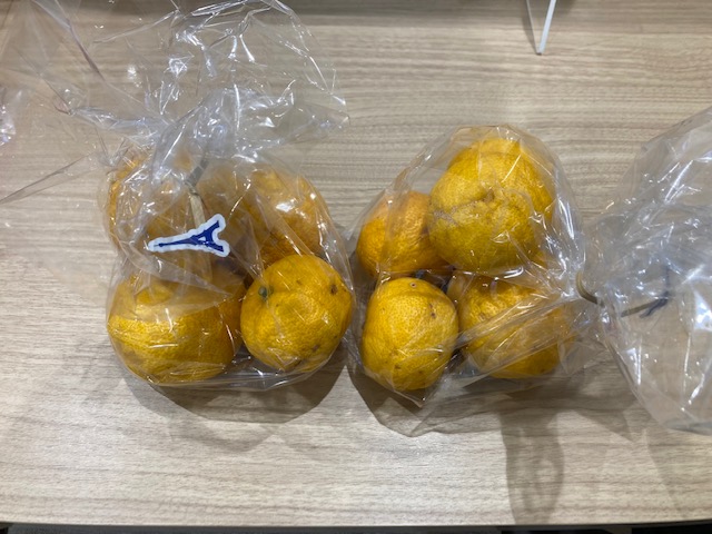 いつもありがとうございます