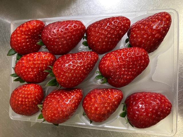 古都華(初物)