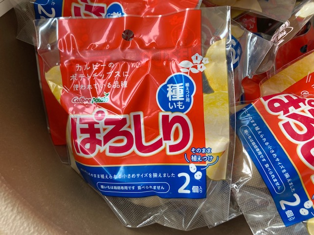 ホームセンターにて