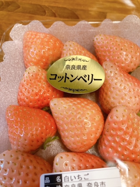 これはおいしい！！