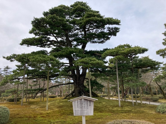 兼六園