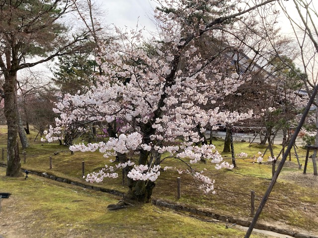 仁和寺