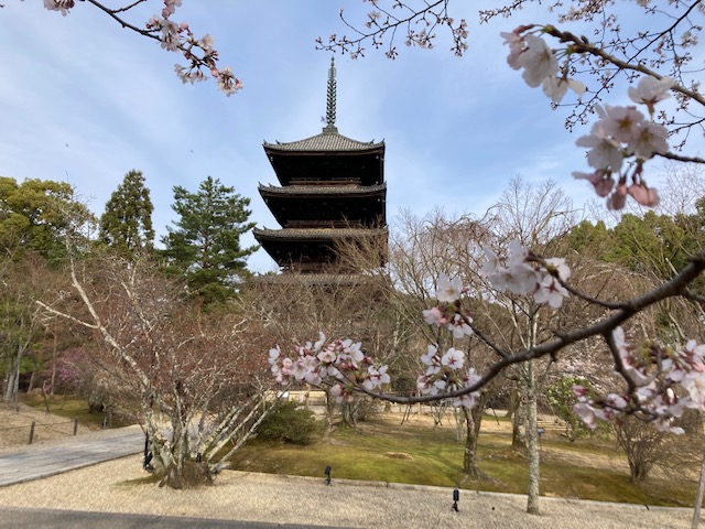 仁和寺