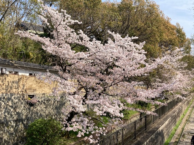 お急ぎを