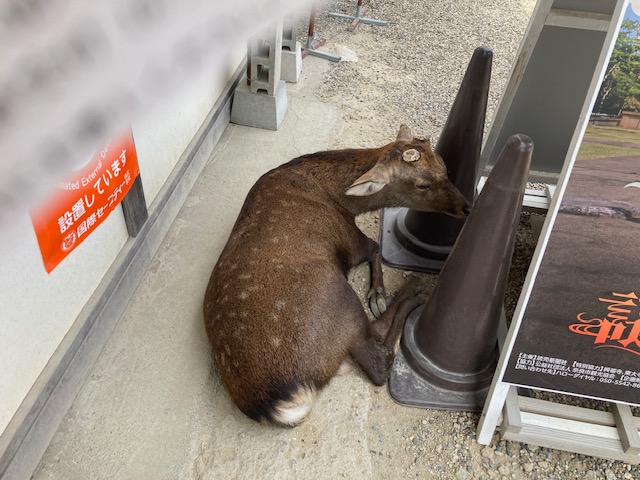 謎解きの旅