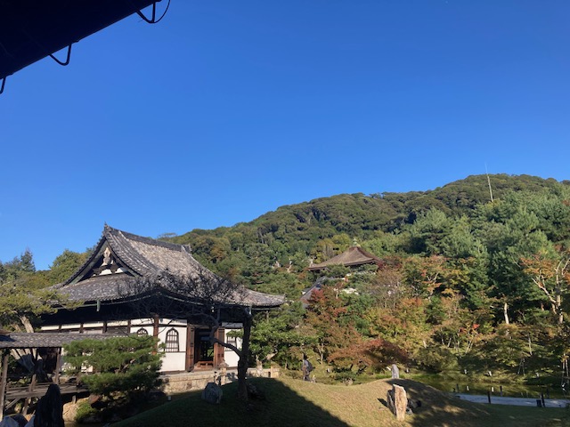 高台寺へ