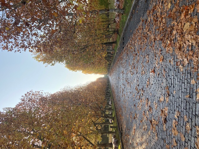 万博終わったんで、万博記念公園へ