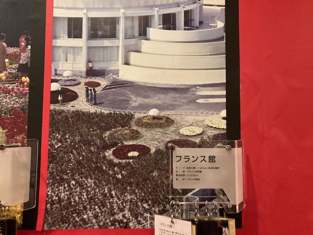 めっさデカい！！