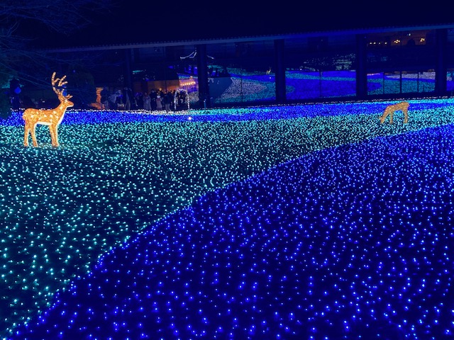 初！！なら瑠璃絵