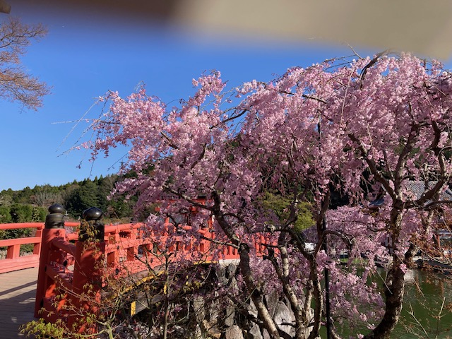 西国三十三所巡礼　勝尾寺