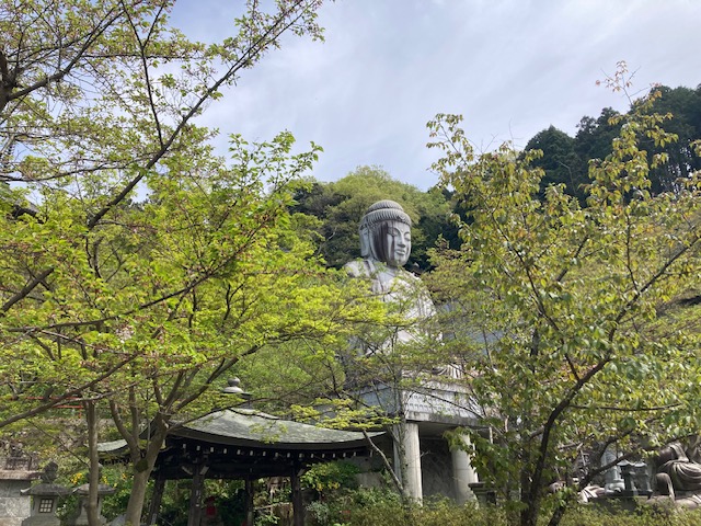 西国三十三所巡礼　南法華寺(壷坂寺)