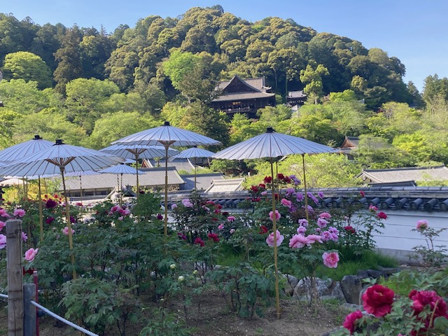 西国三十三所巡礼　長谷寺