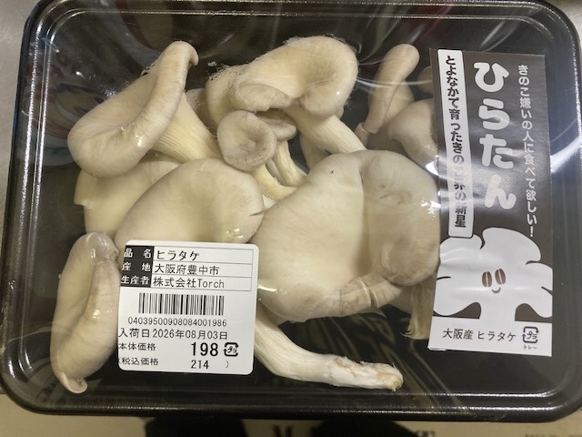 珍しいきのこ