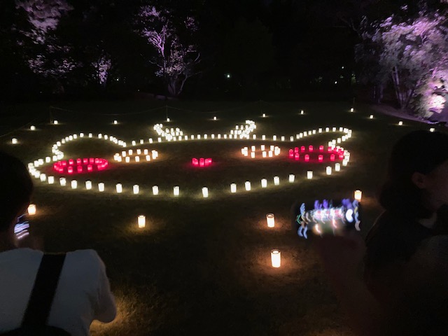 なら燈花会行ってきました