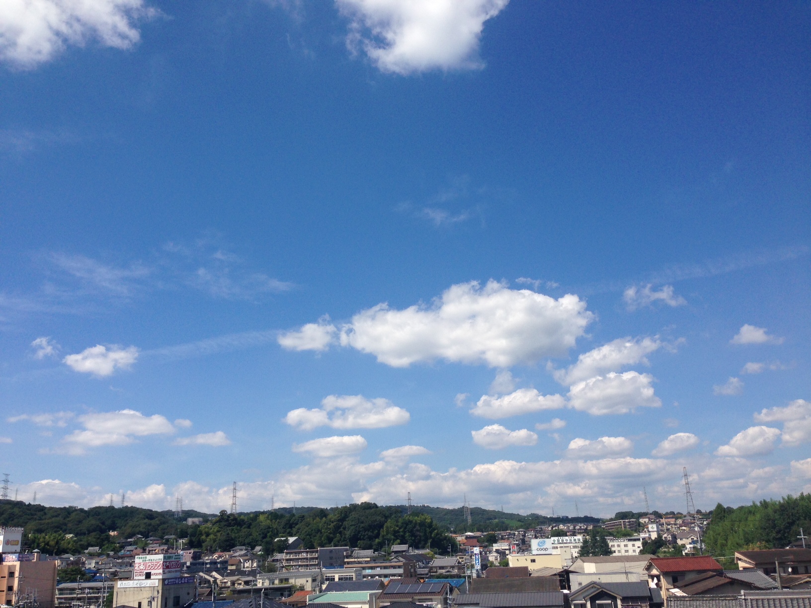Good Afternoon Ikoma