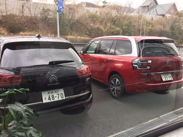 5人乗りと7人乗り