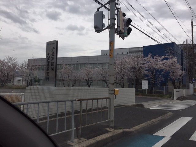 ようやく桜が・・・
