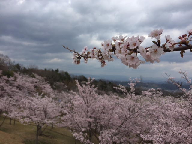 生駒山麓公園