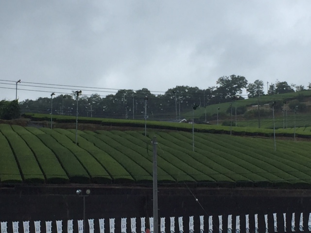 南山城村