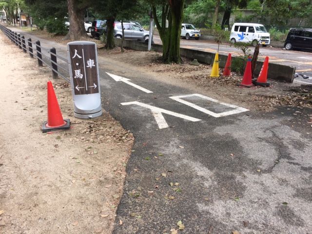 完全制覇