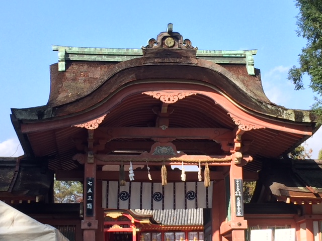 紅葉見に行ってきました