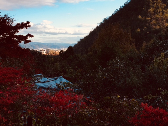 紅葉(京都 鷹峯編)③