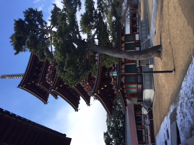 薬師寺最終編