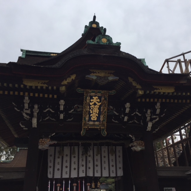 梅を見に