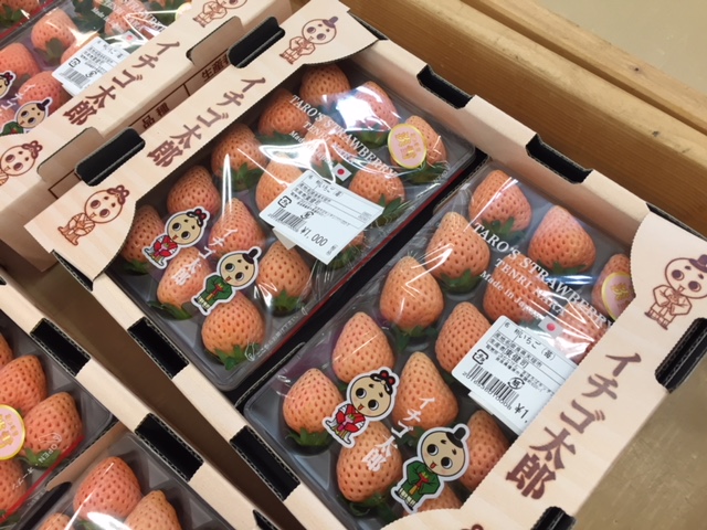 橿原市にある