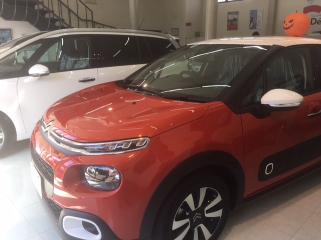 充実した展示車