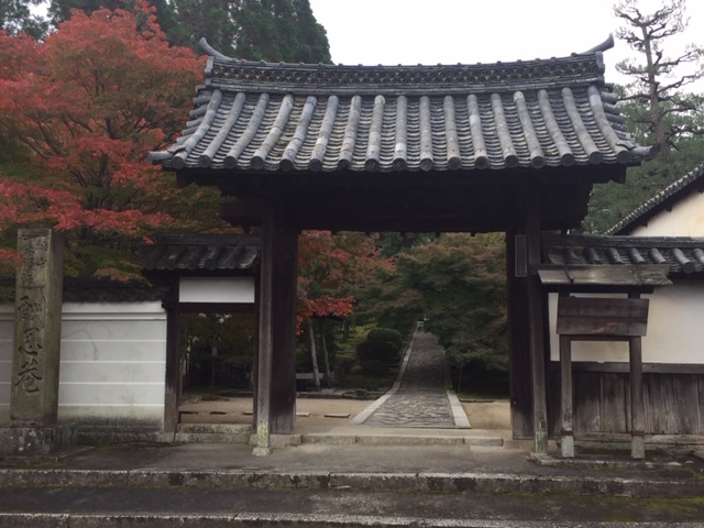 私が撮ると