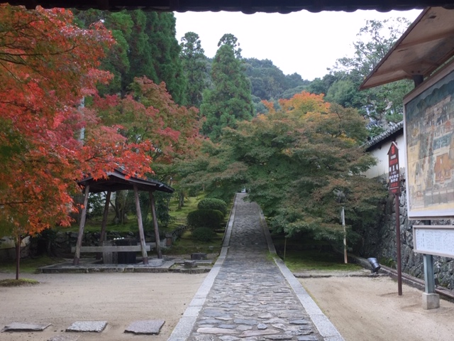 私が撮ると