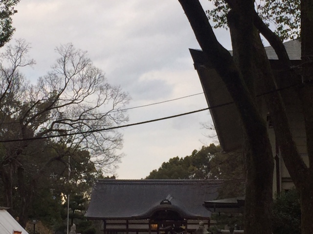 今年の初詣は
