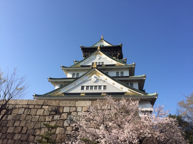 毎年恒例の花見話です②