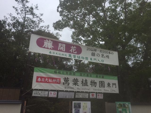 春日大社