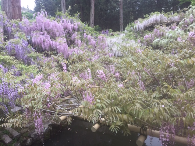 春日大社