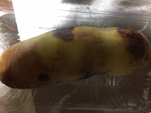ポポー