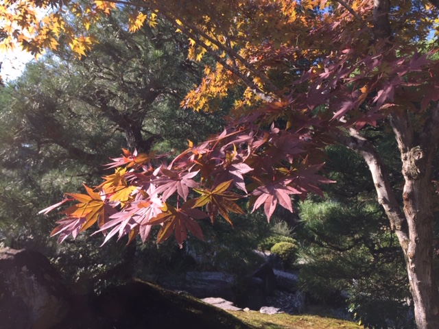 金戒光明寺