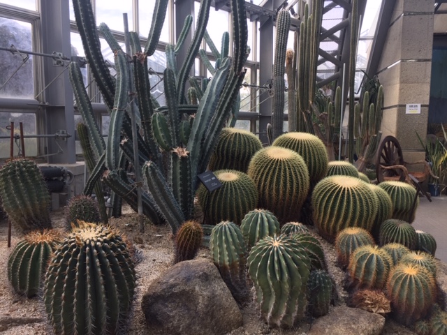 京都府立植物園②